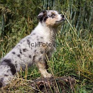 10460177 495520870591305 3496602386696464888 n