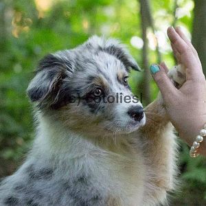 10426158 495520917257967 2878514651115971441 n