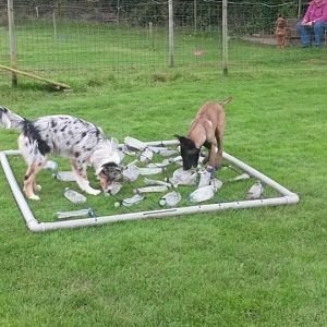 10501606 919940238033969 3020832552427881826 n