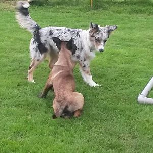 1966749 919940251367301 5703427477488226521 n