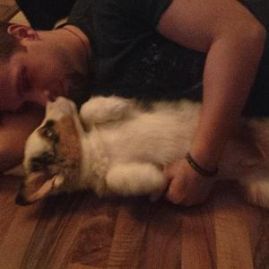 IMG 20141024 222100 1 1