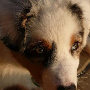 facebook 20141102 204327