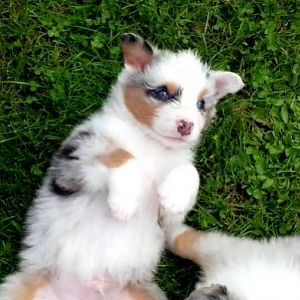 IMG 20140825 092321 edit