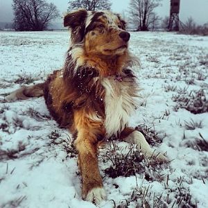 1661060 651725804865794 865375833 n