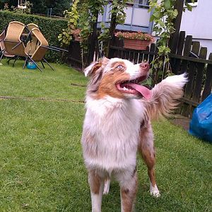 "du hast den Ball, ich bin mir sicher"