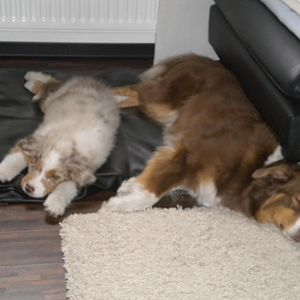 Meine beiden Mädels. Das erste gemeinsame Liegen.