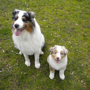 Honey mit Onkel Duke