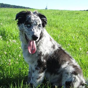 endlich Sommerwetter