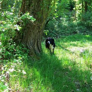 548329 362209800493702 100001140546360 996156 1770288702 n