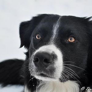 426090 2624588903256 1511256121 32096501 2141034658 n