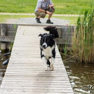 wsb 598x408 Neusiedler+See+$28160+von+172$29+Kopie