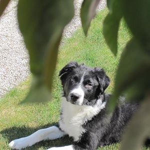 eines meiner Lieblingsbilder <3