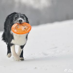 "Achtung - Vorsicht - heiß und fettig!!"
