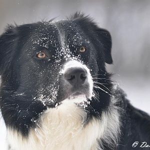 424751 2624502981108 1511256121 32096472 1290503549 n