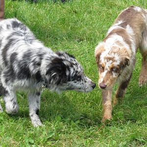 Küsschen fürs Brüderchen