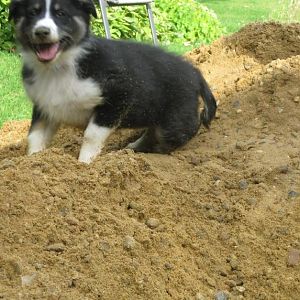 Im Sand spielen macht soooo viel Spaß