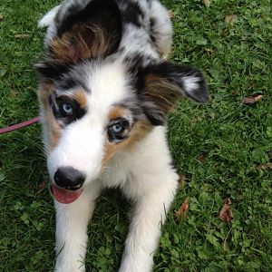 Spaziergang im Grünen