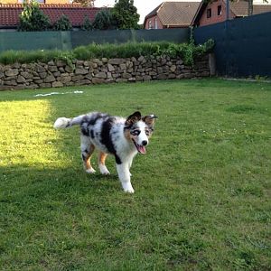 Amy in Ihrem Reich, der Garten 8=)