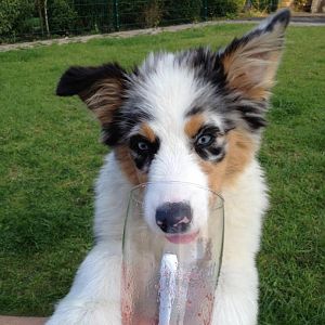 Amy macht Weissbierwerbung, keine Panik sie leckt immer noch die Reste vom Erdbeereneis 8=)