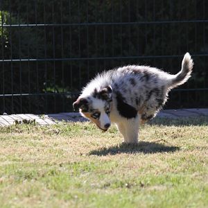 Walk like an Egyptian 8=)