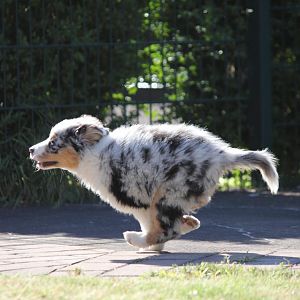 Vorsicht da vorne, ich weiss noch nicht wo die Bremsen sind 8=)