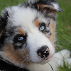 mit dem Blick kriegt die jeden rum 8=)