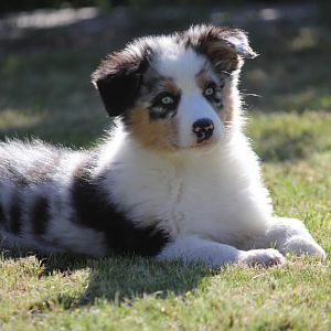 Ergonomisch fragwürdig ?