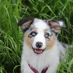 Guck mir in die Augen 8=)