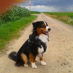 2012 07 12 12.31.14 [640x480]