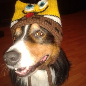 2012 12 09 19.41.49 [640x480]