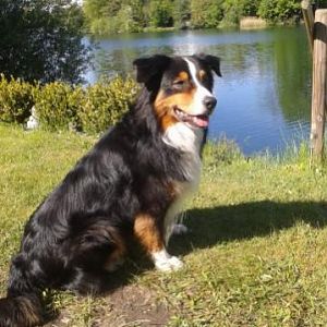 2013 05 12 16.25.16 [640x480]