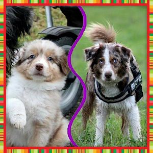 Mit meiner Mama noch