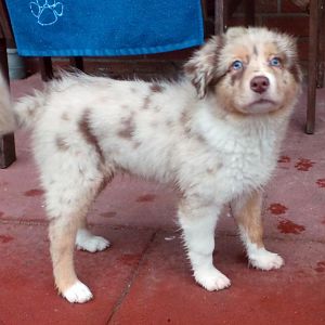 Lillys erstes mal im Garten