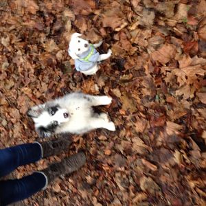 und immernoch im Park