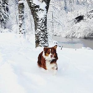 2014 12 29 13.26.17