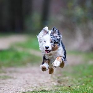 ...ich bin ein Sprinter...