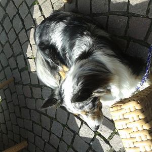 20140420 113742