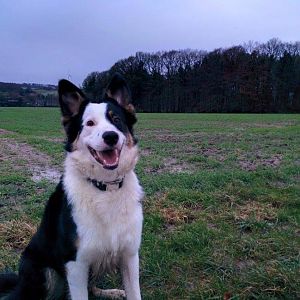 Spazieren Kloster Gerleve