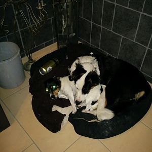 War wohl ne harte Nacht ;-)