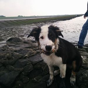 Foster und seine erste Krabbe.... yammi