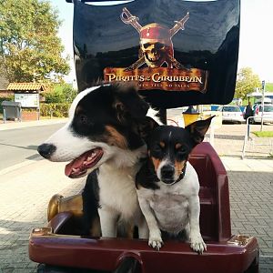 Foster auf dem Weg zur Frolic Insel