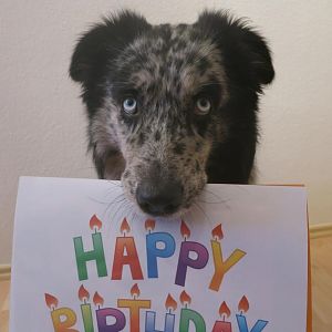 3 Jahre
endlich erwachsen ;)