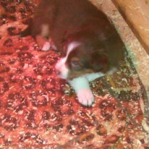 1418382156892

6 Wochen