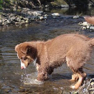 10446324 712368295528129 4298165973348884450 o

Der erste Kontakt mit Wasser