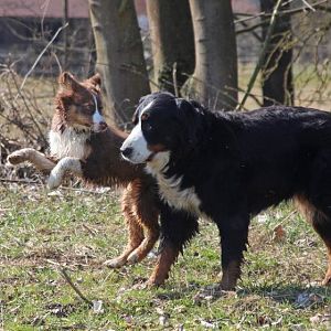 11080759 712366622194963 2259940763469198435 o