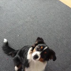 Deutsches Fragewort mit 2 Buchstaben:
Hä?