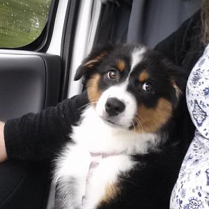 Autofahren..OhGottohGott