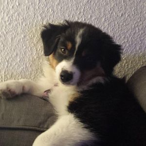 gechillt auf der Couch