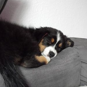 müde..