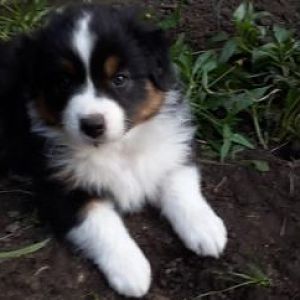 so haben wir dich gefunden